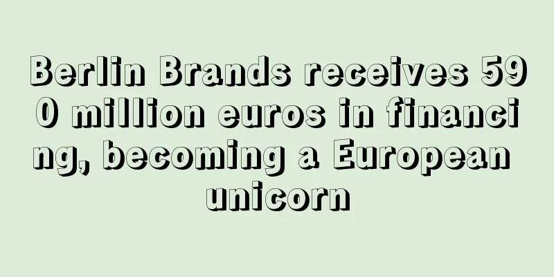 Berlin Brands receives 590 million euros in financing, becoming a European unicorn