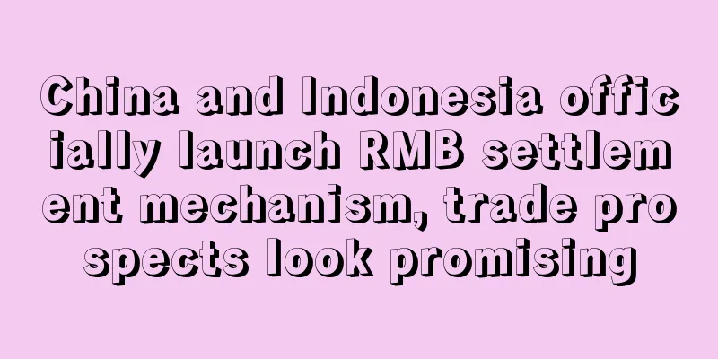 China and Indonesia officially launch RMB settlement mechanism, trade prospects look promising