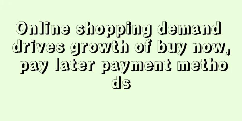 Online shopping demand drives growth of buy now, pay later payment methods