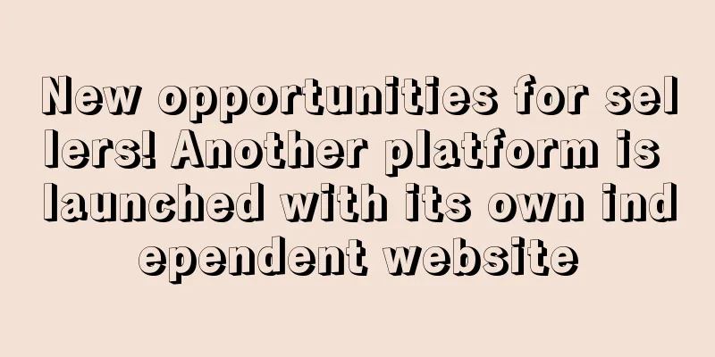 New opportunities for sellers! Another platform is launched with its own independent website