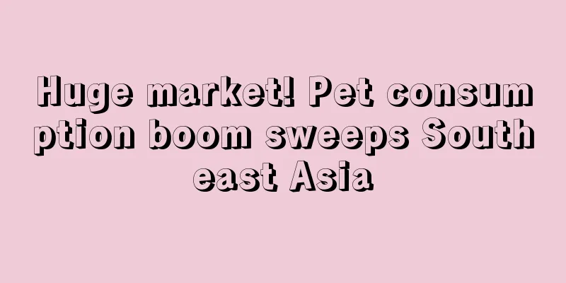 Huge market! Pet consumption boom sweeps Southeast Asia