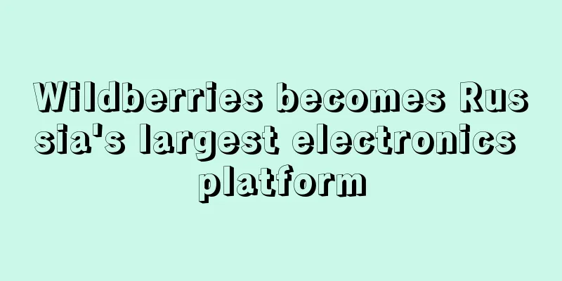 Wildberries becomes Russia's largest electronics platform