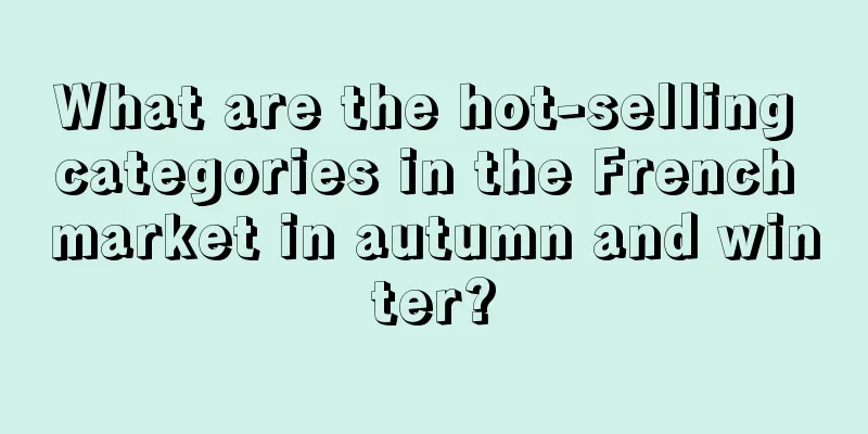What are the hot-selling categories in the French market in autumn and winter?