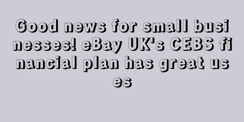 Good news for small businesses! eBay UK's CEBS financial plan has great uses