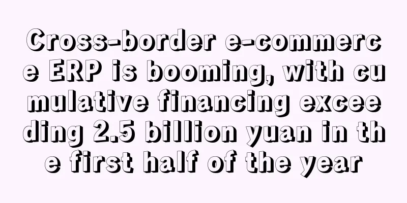 Cross-border e-commerce ERP is booming, with cumulative financing exceeding 2.5 billion yuan in the first half of the year