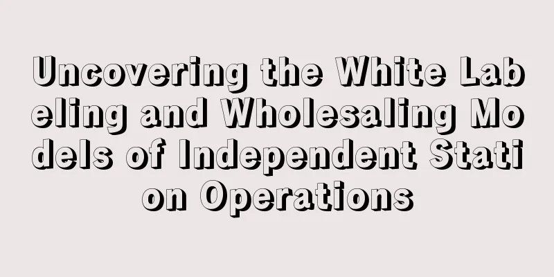 Uncovering the White Labeling and Wholesaling Models of Independent Station Operations