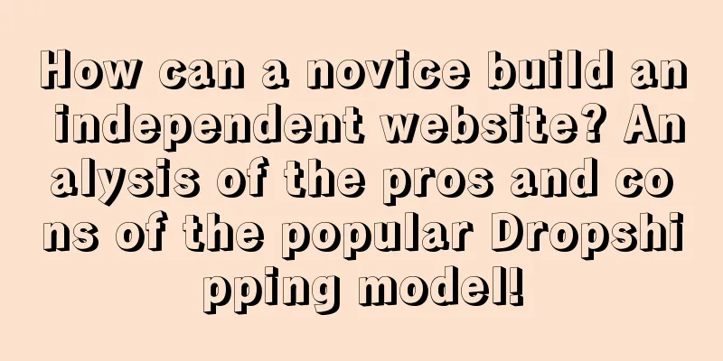 How can a novice build an independent website? Analysis of the pros and cons of the popular Dropshipping model!