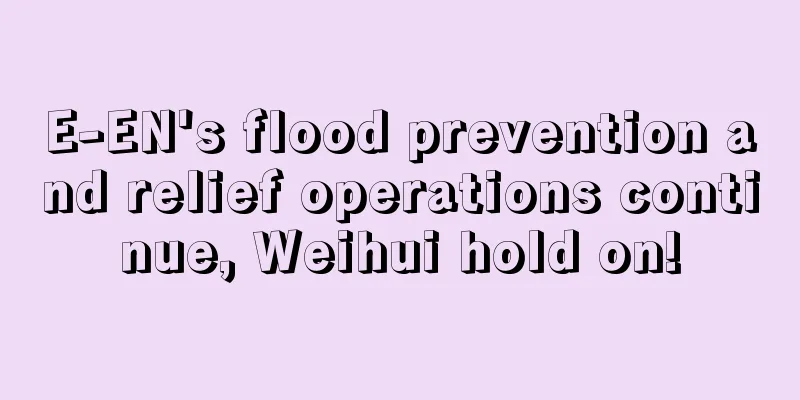 E-EN's flood prevention and relief operations continue, Weihui hold on!