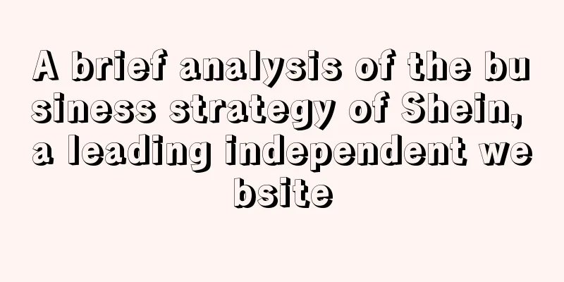 A brief analysis of the business strategy of Shein, a leading independent website