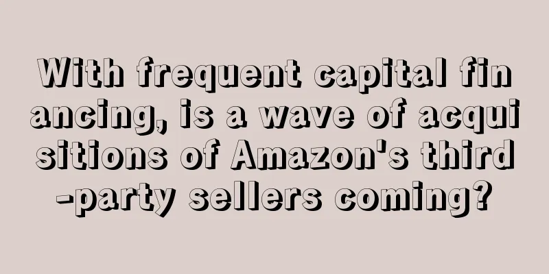 With frequent capital financing, is a wave of acquisitions of Amazon's third-party sellers coming?