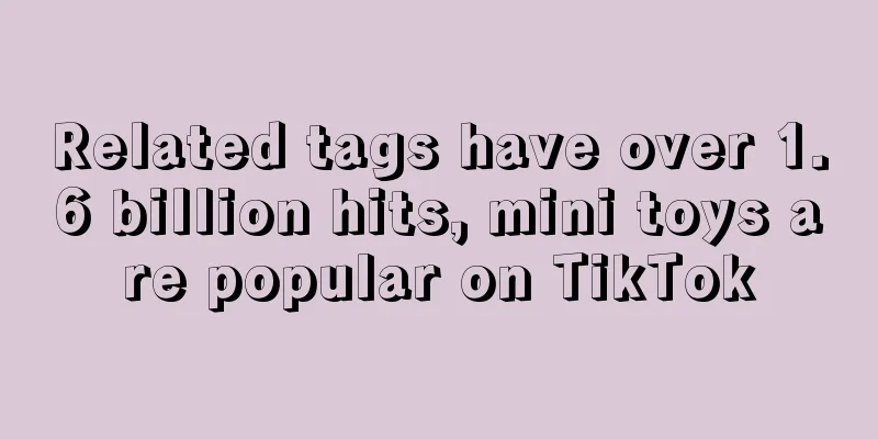 Related tags have over 1.6 billion hits, mini toys are popular on TikTok
