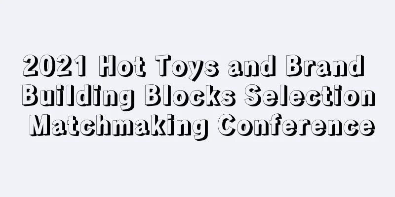 2021 Hot Toys and Brand Building Blocks Selection Matchmaking Conference