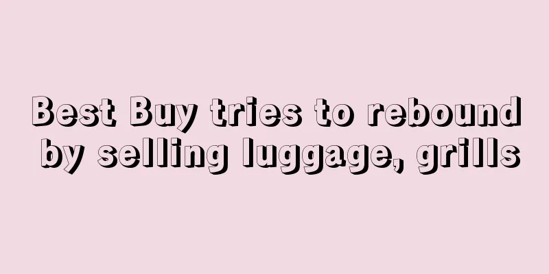 Best Buy tries to rebound by selling luggage, grills