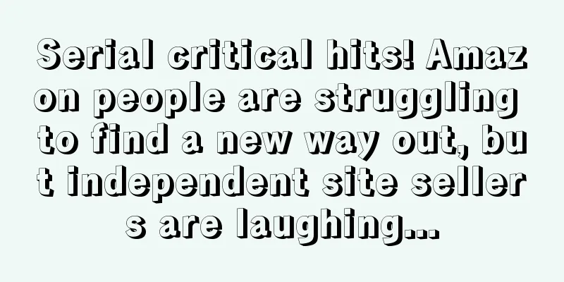 Serial critical hits! Amazon people are struggling to find a new way out, but independent site sellers are laughing...