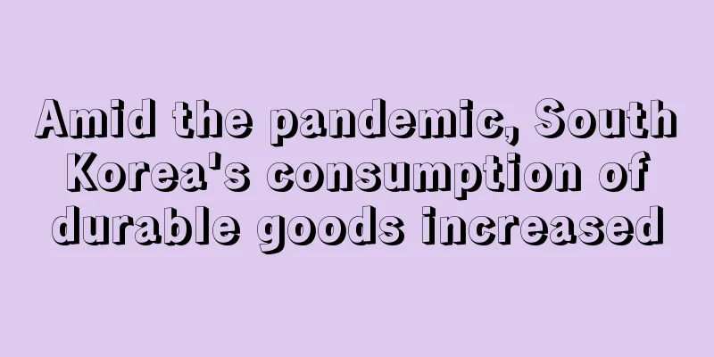 Amid the pandemic, South Korea's consumption of durable goods increased