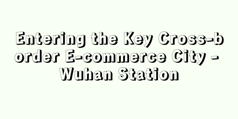 Entering the Key Cross-border E-commerce City - Wuhan Station