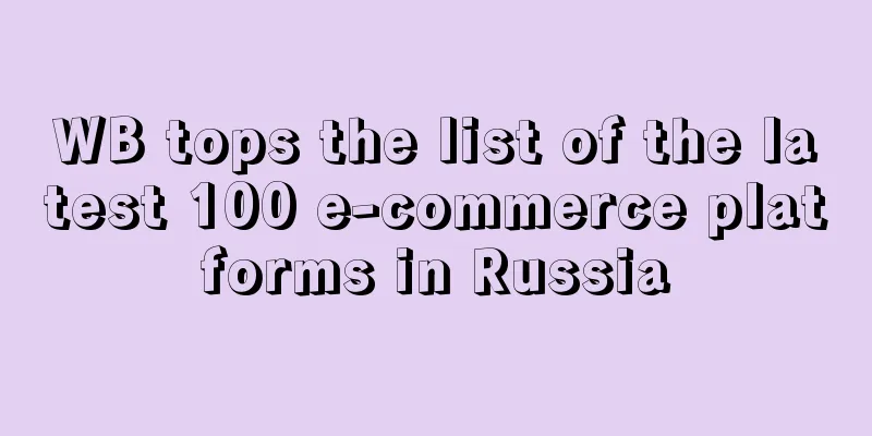 WB tops the list of the latest 100 e-commerce platforms in Russia