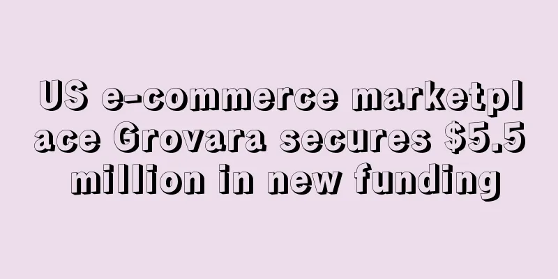 US e-commerce marketplace Grovara secures $5.5 million in new funding