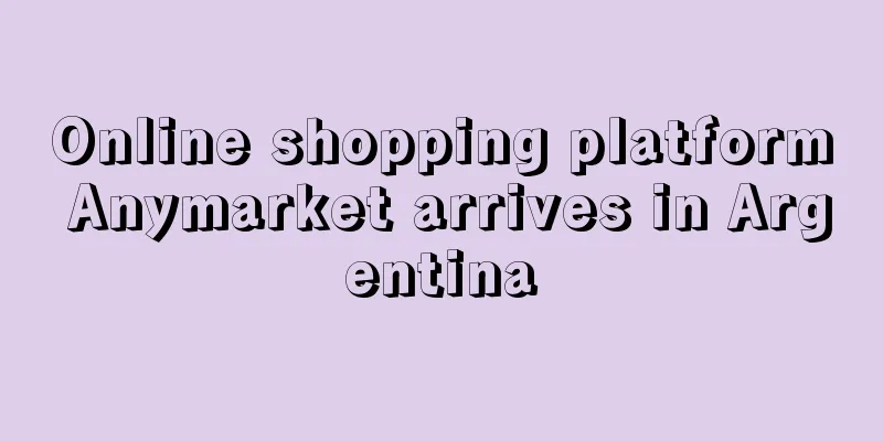 Online shopping platform Anymarket arrives in Argentina