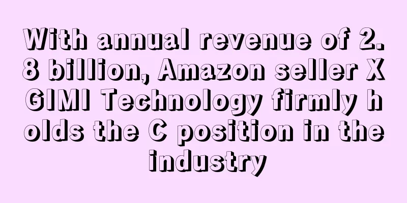 With annual revenue of 2.8 billion, Amazon seller XGIMI Technology firmly holds the C position in the industry