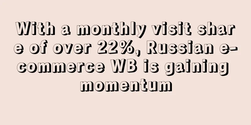 With a monthly visit share of over 22%, Russian e-commerce WB is gaining momentum