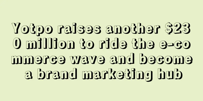 Yotpo raises another $230 million to ride the e-commerce wave and become a brand marketing hub