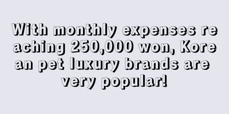 With monthly expenses reaching 250,000 won, Korean pet luxury brands are very popular!
