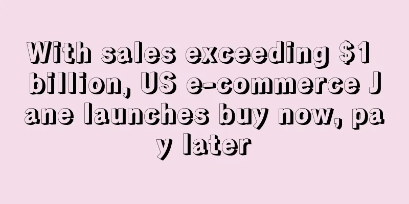 With sales exceeding $1 billion, US e-commerce Jane launches buy now, pay later