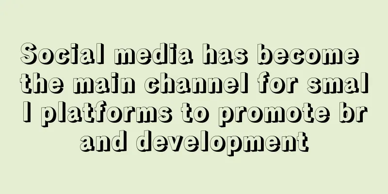 Social media has become the main channel for small platforms to promote brand development