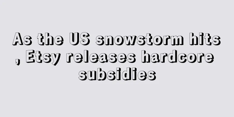As the US snowstorm hits, Etsy releases hardcore subsidies