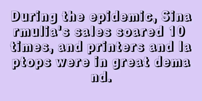 During the epidemic, Sinarmulia's sales soared 10 times, and printers and laptops were in great demand.