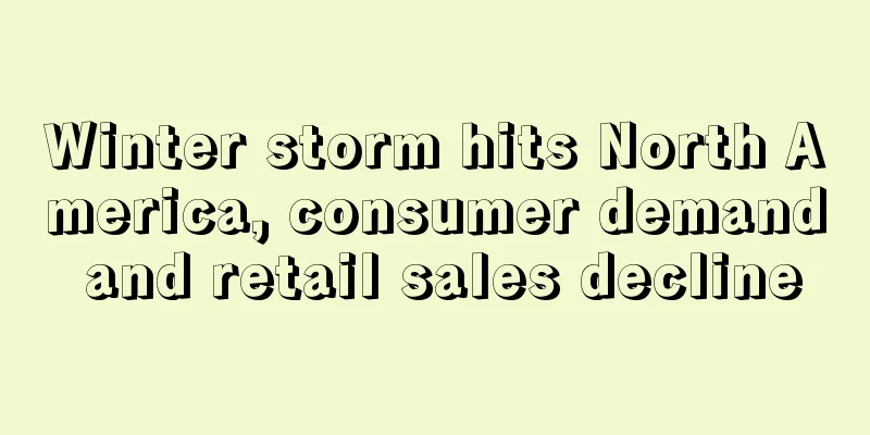 Winter storm hits North America, consumer demand and retail sales decline