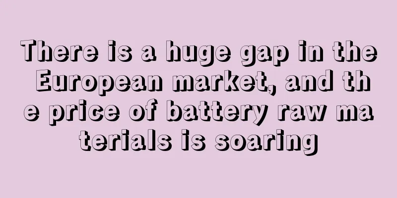 There is a huge gap in the European market, and the price of battery raw materials is soaring
