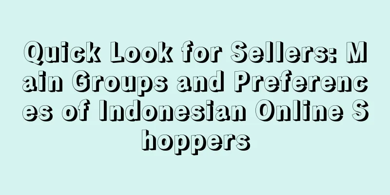 Quick Look for Sellers: Main Groups and Preferences of Indonesian Online Shoppers