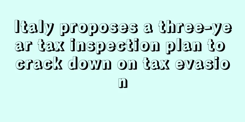 Italy proposes a three-year tax inspection plan to crack down on tax evasion
