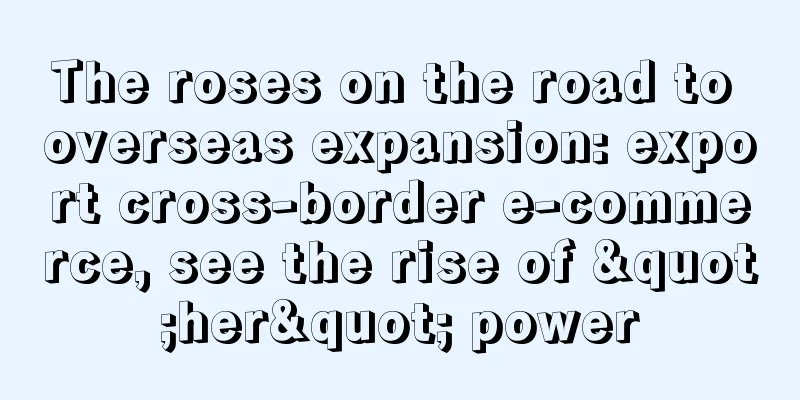 The roses on the road to overseas expansion: export cross-border e-commerce, see the rise of "her" power