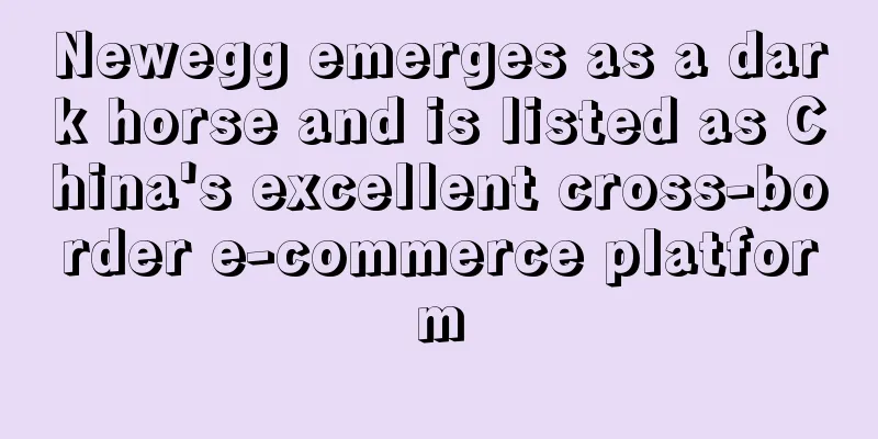 Newegg emerges as a dark horse and is listed as China's excellent cross-border e-commerce platform