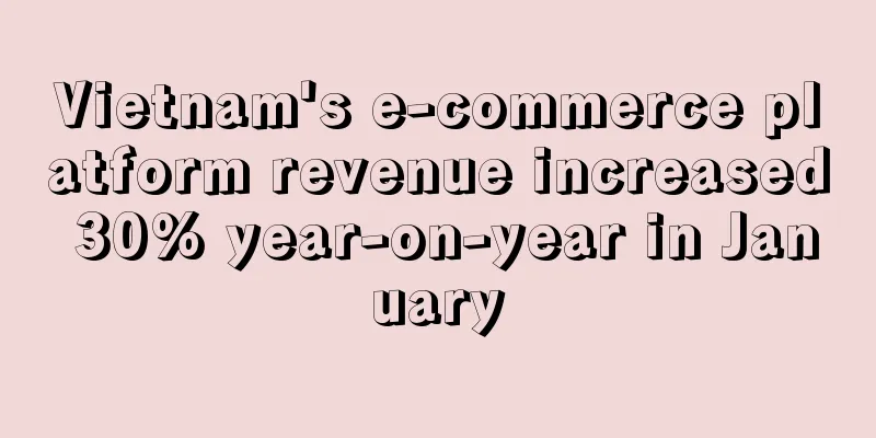 Vietnam's e-commerce platform revenue increased 30% year-on-year in January