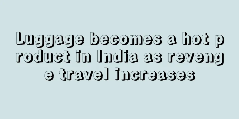 Luggage becomes a hot product in India as revenge travel increases