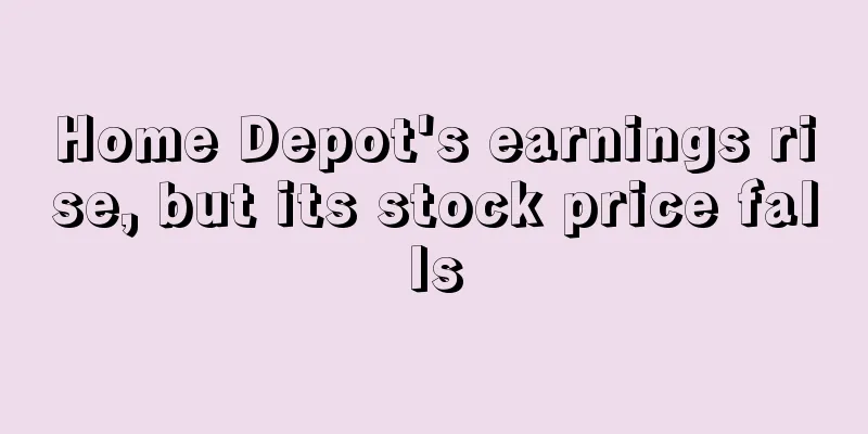 Home Depot's earnings rise, but its stock price falls