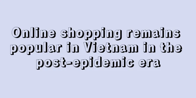 Online shopping remains popular in Vietnam in the post-epidemic era