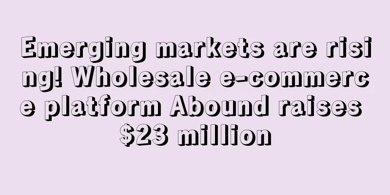 Emerging markets are rising! Wholesale e-commerce platform Abound raises $23 million