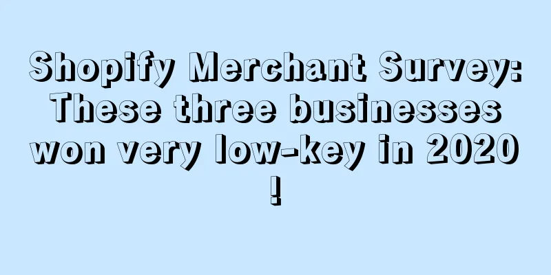 Shopify Merchant Survey: These three businesses won very low-key in 2020!