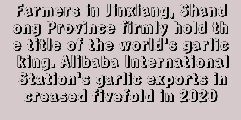 Farmers in Jinxiang, Shandong Province firmly hold the title of the world's garlic king. Alibaba International Station's garlic exports increased fivefold in 2020