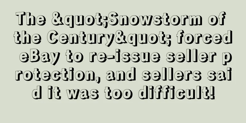 The "Snowstorm of the Century" forced eBay to re-issue seller protection, and sellers said it was too difficult!