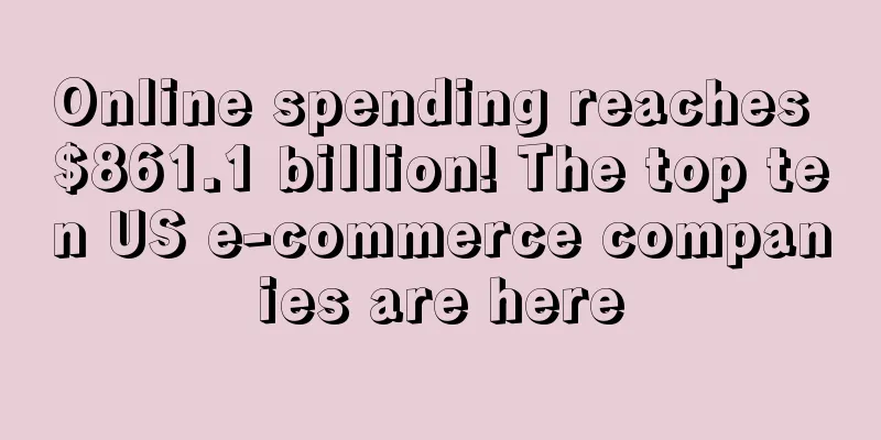 Online spending reaches $861.1 billion! The top ten US e-commerce companies are here